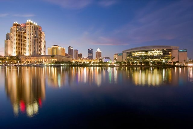 water view featuring a city view