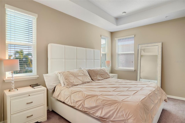 carpeted bedroom with multiple windows and baseboards