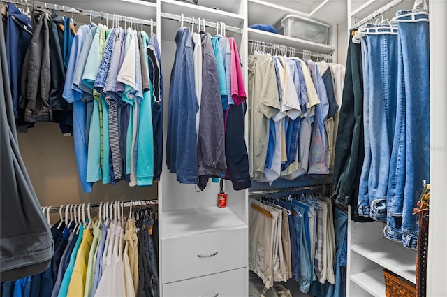 view of spacious closet