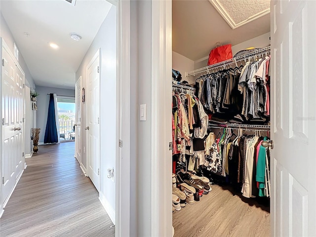 walk in closet featuring wood finished floors