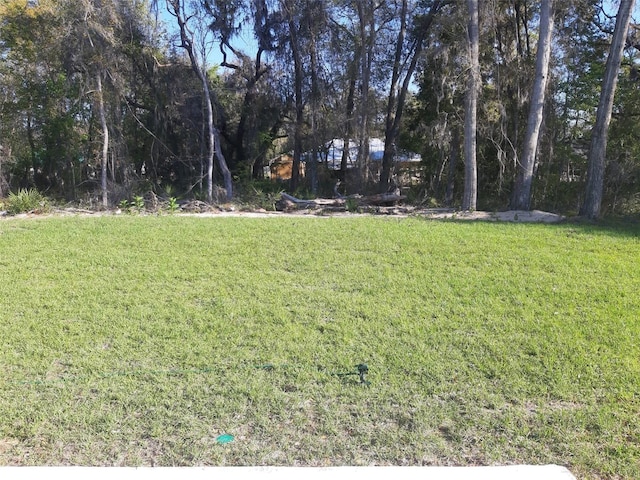 13215 SW 41st Ct, Ocala, FL 34473 - view of yard