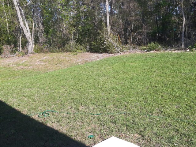 13215 SW 41st Ct, Ocala, FL 34473 - view of yard