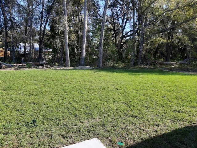 13215 SW 41st Ct, Ocala, FL 34473 - view of yard