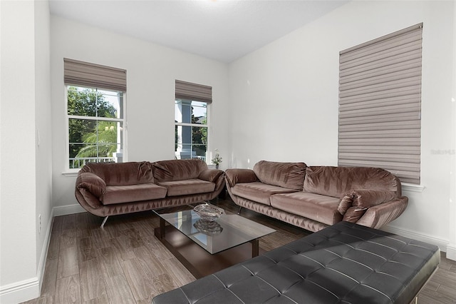 living area with wood finished floors, a wealth of natural light, and baseboards