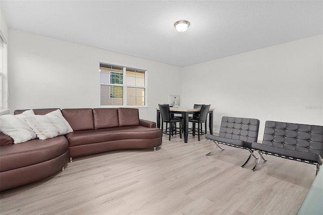 living room with light wood-style floors