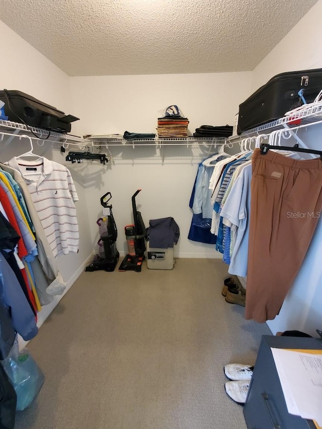 walk in closet featuring carpet flooring