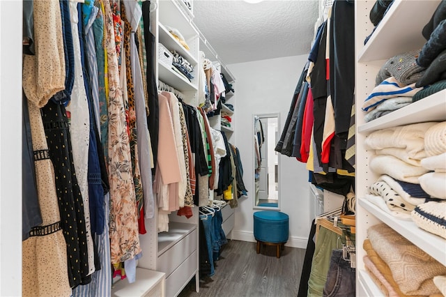 walk in closet with wood finished floors