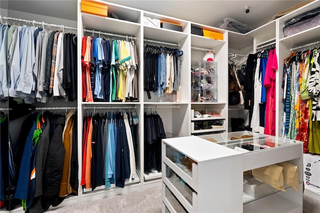 view of walk in closet