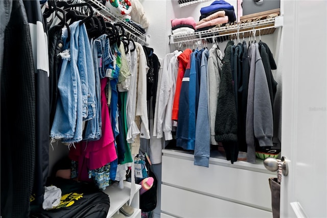 view of spacious closet