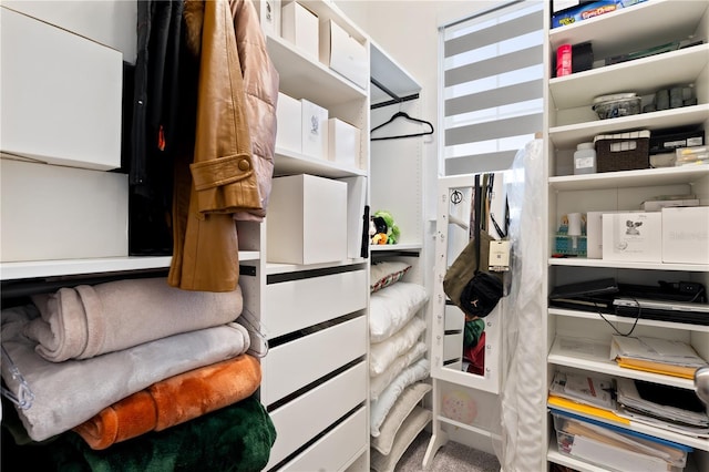 view of spacious closet