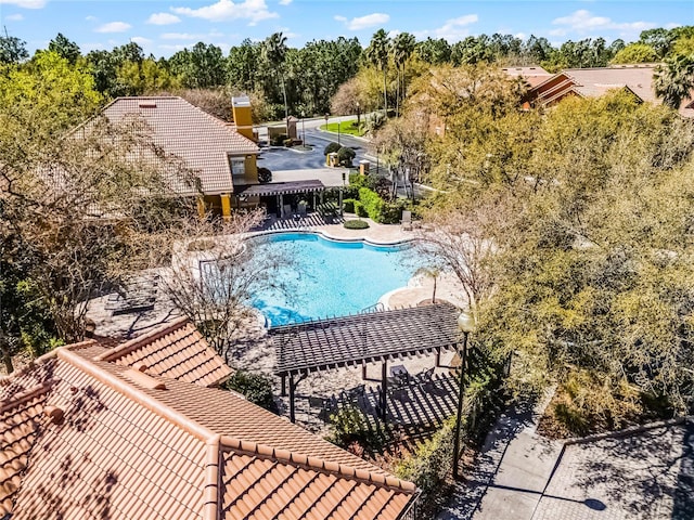 view of swimming pool with a patio