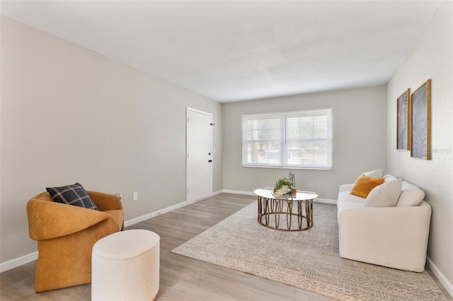 1920 E Edgewood Dr Unit A5, Lakeland, FL 33803 - living area with wood finished floors and baseboards