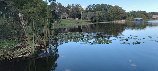 824 Town Cir Unit 101, Maitland, FL 32751 - photo 27