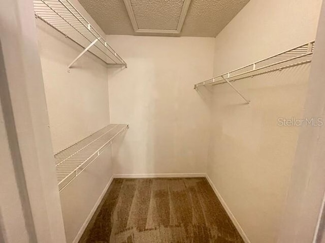 walk in closet with carpet floors and attic access