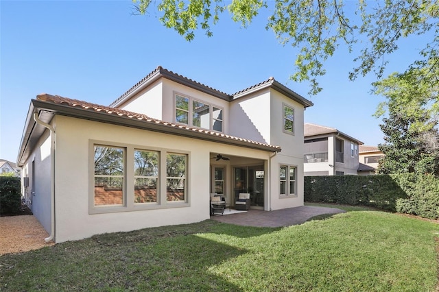 back of house with a patio area, ceiling fan, a lawn, and stucco siding