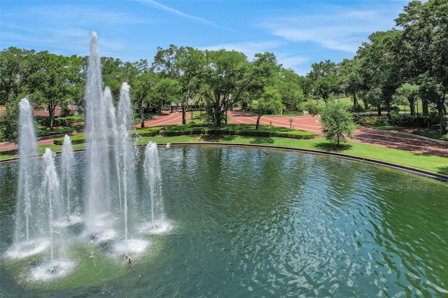 1377 Tappie Toorie Cir, Lake Mary, FL 32746 - water view featuring a tree filled landscape
