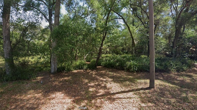 415 Ivy Ave, Deland FL, 32724 land for sale