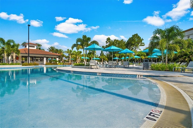 view of swimming pool with a patio