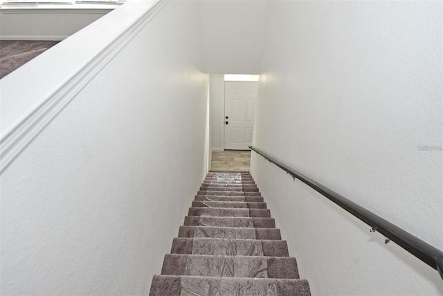 stairs with carpet flooring