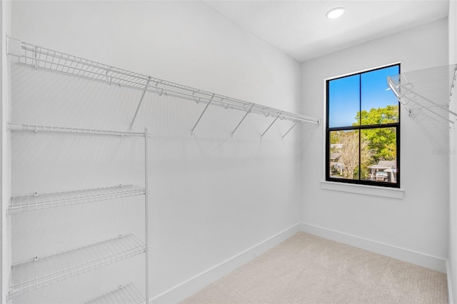 walk in closet featuring carpet