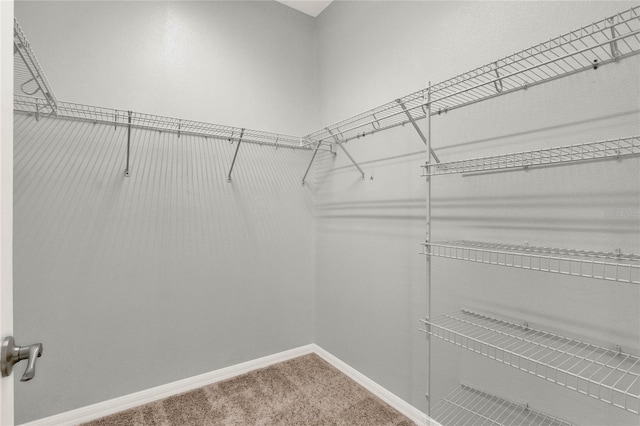 walk in closet with carpet