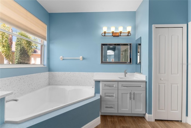 bathroom with a garden tub, a closet, wood finished floors, and vanity