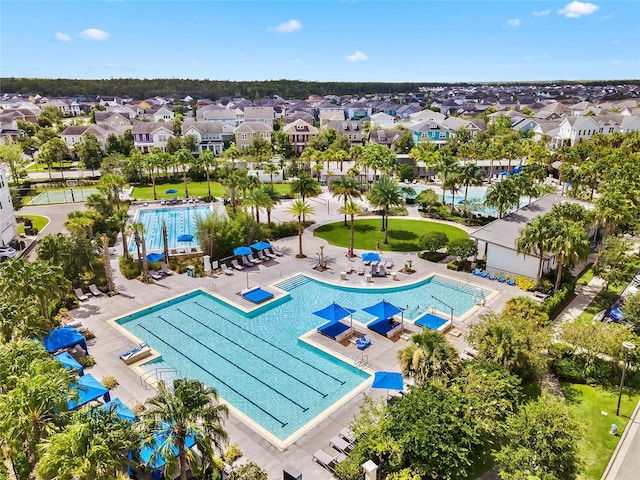 view of swimming pool with a residential view and a patio