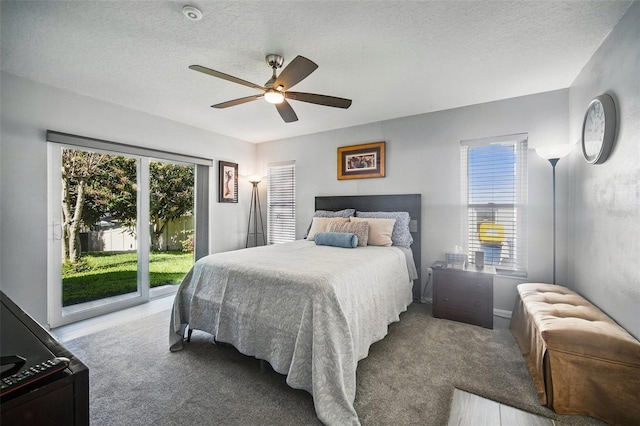 carpeted bedroom with access to outside, multiple windows, and a textured ceiling