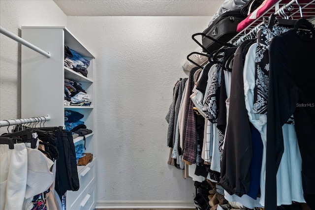 view of spacious closet