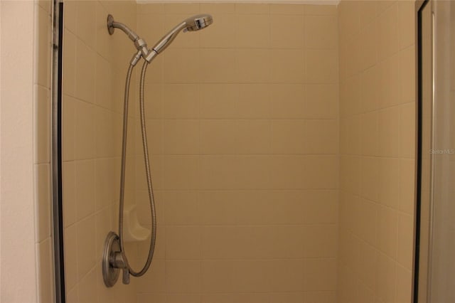 interior details featuring a shower stall