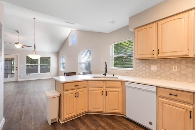 kitchen with dishwasher, light brown cabinetry, and a sink