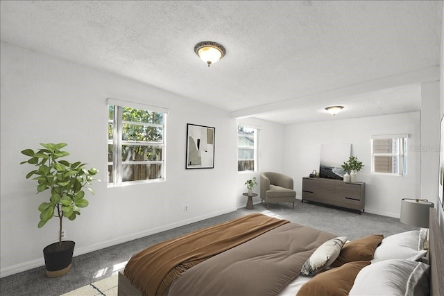 bedroom featuring carpet, multiple windows, baseboards, and a textured ceiling