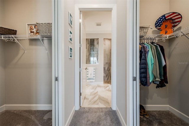 spacious closet with visible vents and carpet flooring