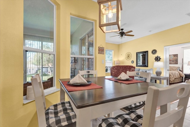 kitchen with ceiling fan and ornamental molding