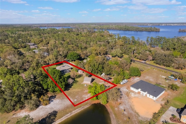 birds eye view of property with a view of trees and a water view