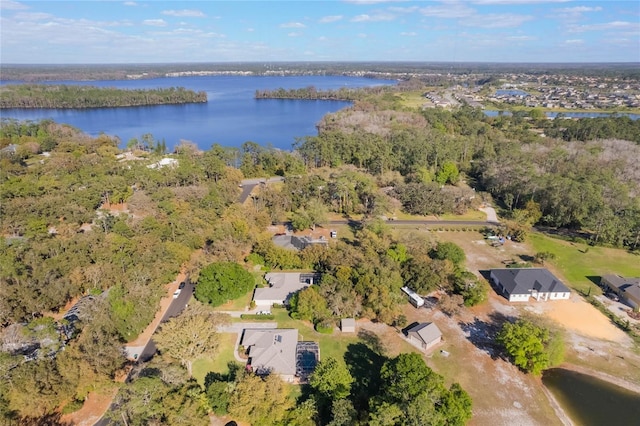 drone / aerial view with a water view and a view of trees