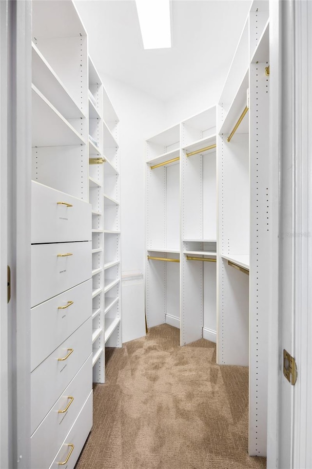 spacious closet featuring light colored carpet