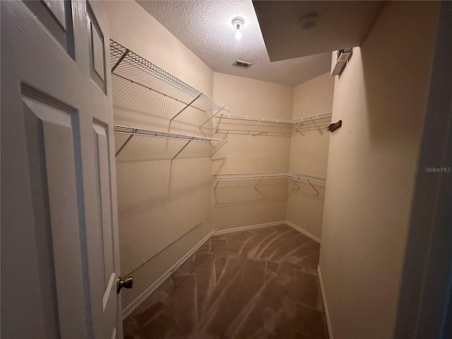 spacious closet with carpet floors and visible vents