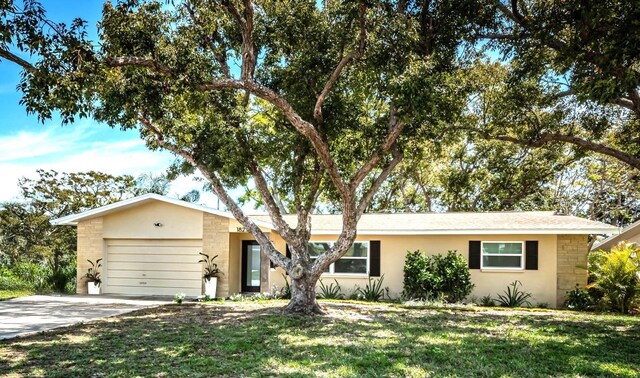1825 Alberta Dr, Clearwater, FL 33756 - photo 1