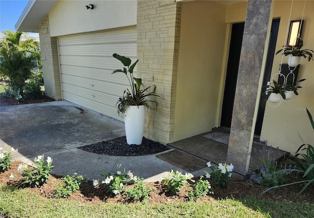 1825 Alberta Dr, Clearwater, FL 33756 - photo 3