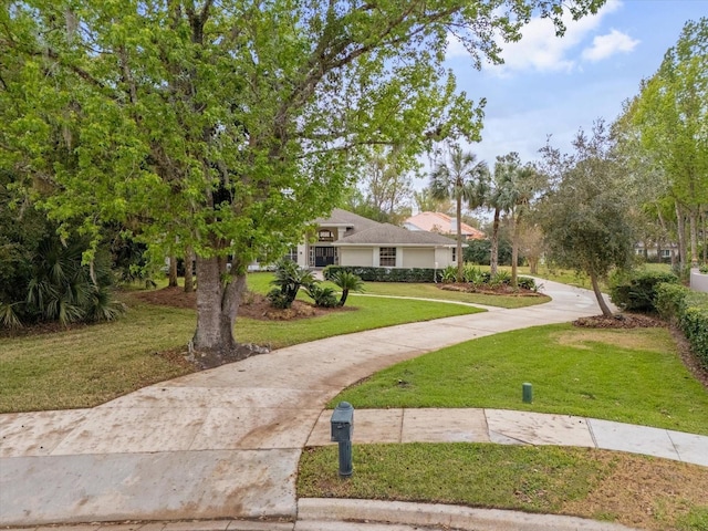 view of front of property featuring concrete driveway and a front yard