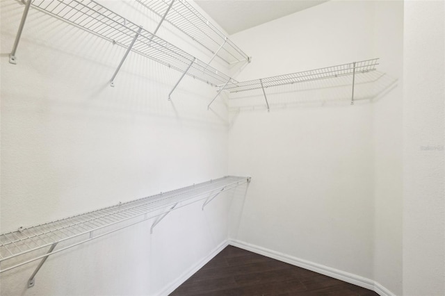 walk in closet featuring dark wood-style flooring