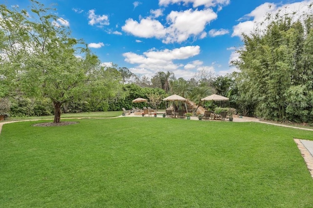 view of yard featuring a patio area