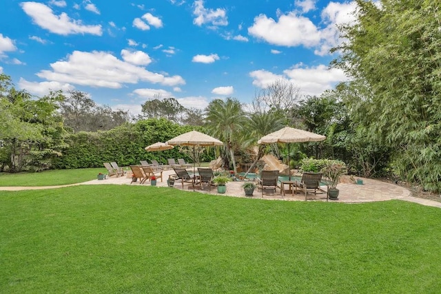 view of yard featuring a patio