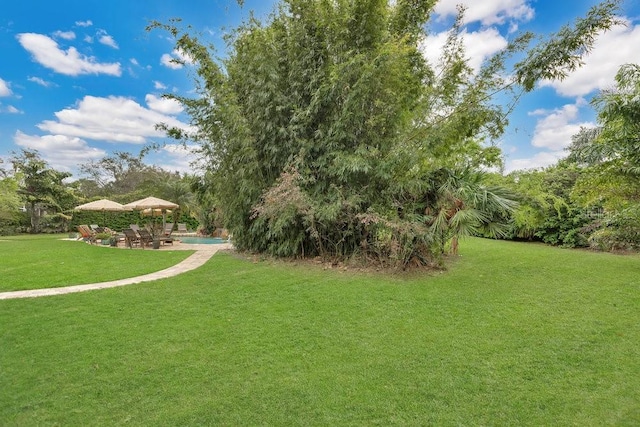 view of yard featuring an outdoor pool and a patio