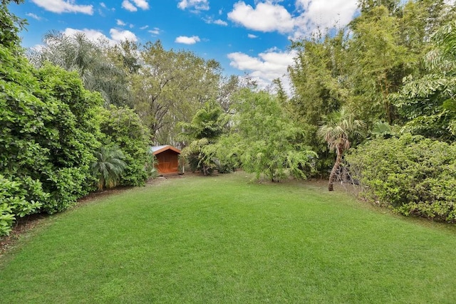 view of yard with an outbuilding and a view of trees