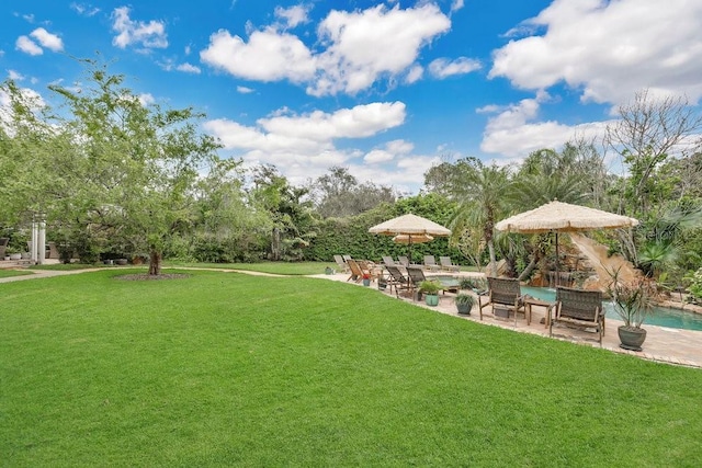 view of yard with an outdoor pool and a patio area