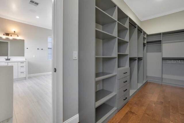 spacious closet featuring light wood-style flooring, visible vents, and a sink