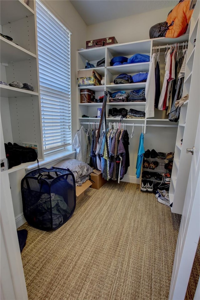 spacious closet with carpet flooring