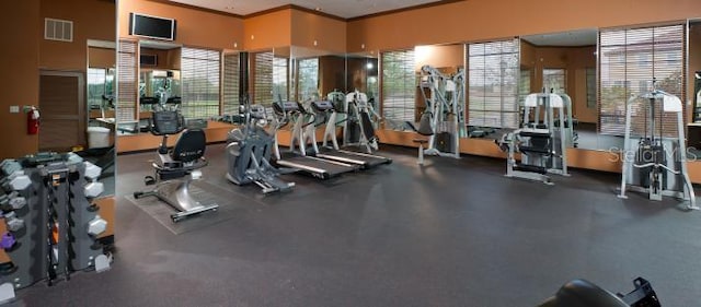 exercise room featuring a wealth of natural light, ornamental molding, and visible vents